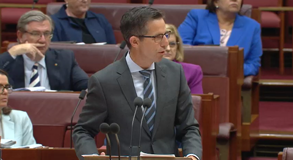 A middle-aged man in a suit speaks in the Senate.
