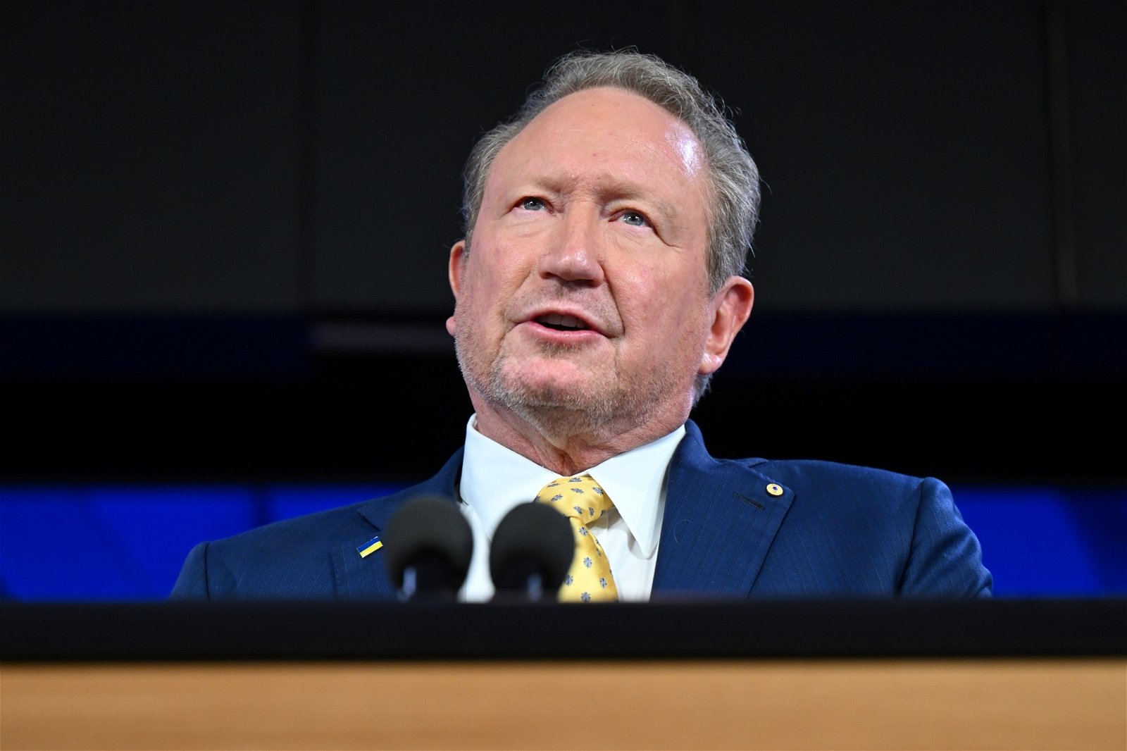 Andrew Forrest warns carbon pricing will be imposed on Australia if we don't do it ourselves