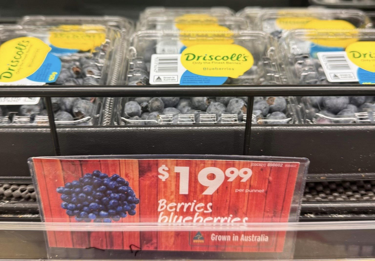a small sign reads "19-dollars-19-cents" in front of blueberry punnets