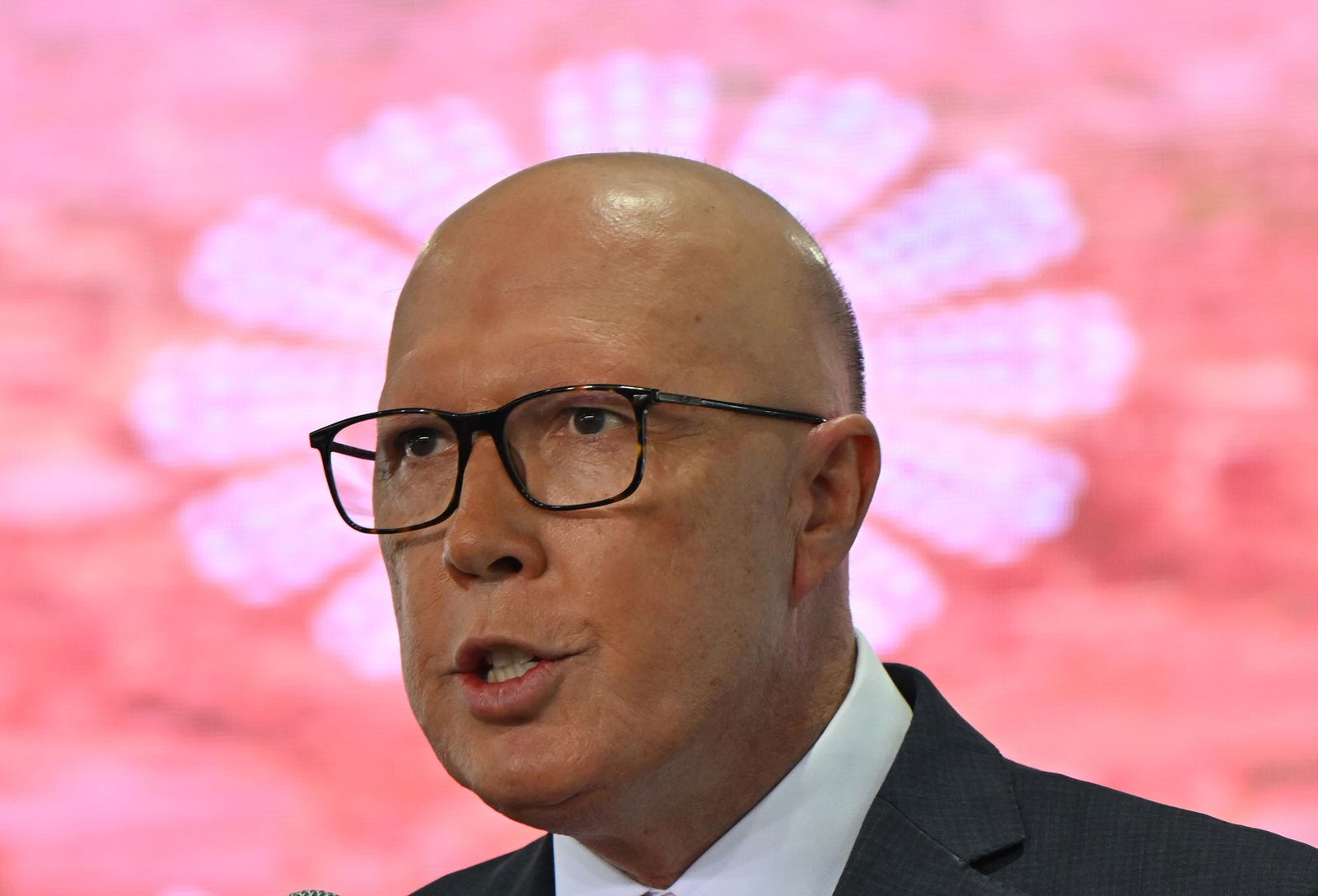 Peter Dutton's head is framed against a flower on a pink background.