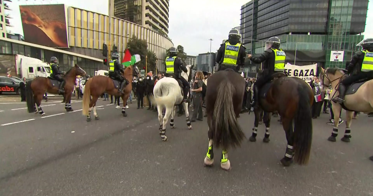 Mounted police 