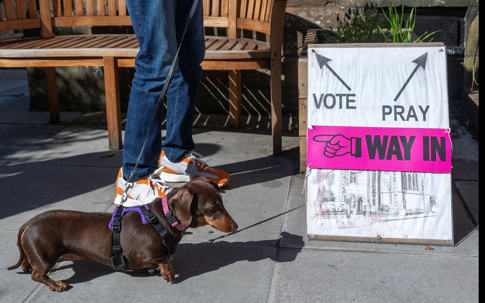 small dog next to polling sign 