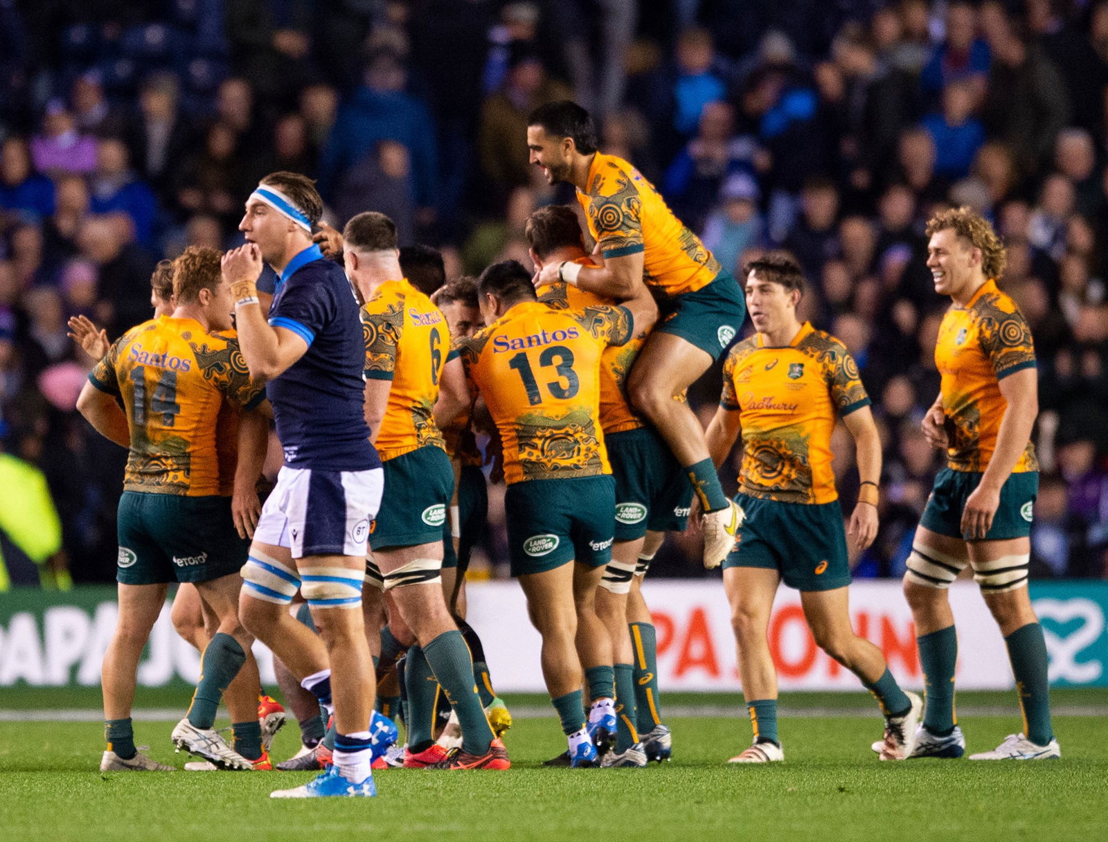 Wallabies celebrate beating Scotland in 2023.