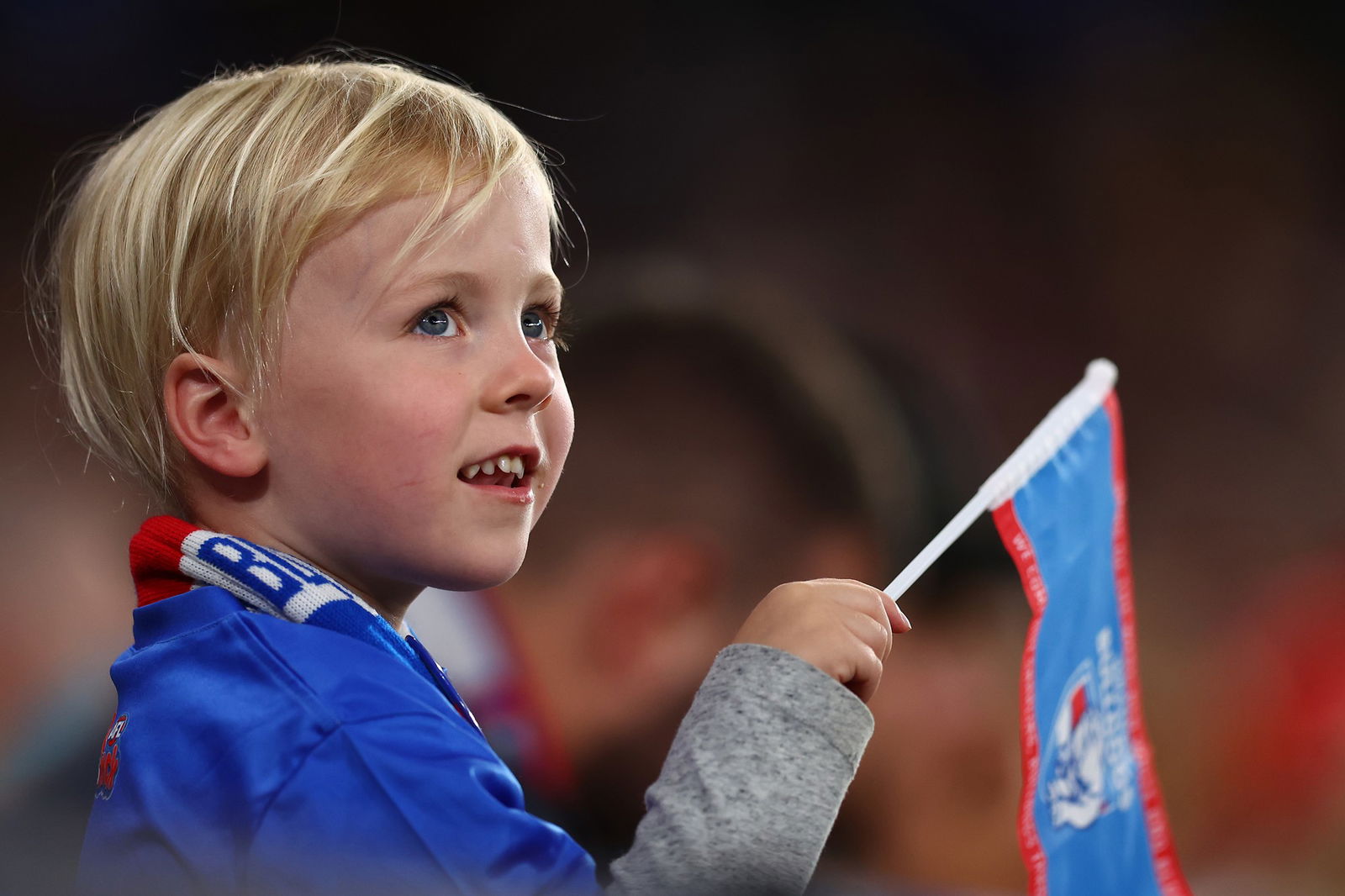 A young Bulldogs fans watches on.