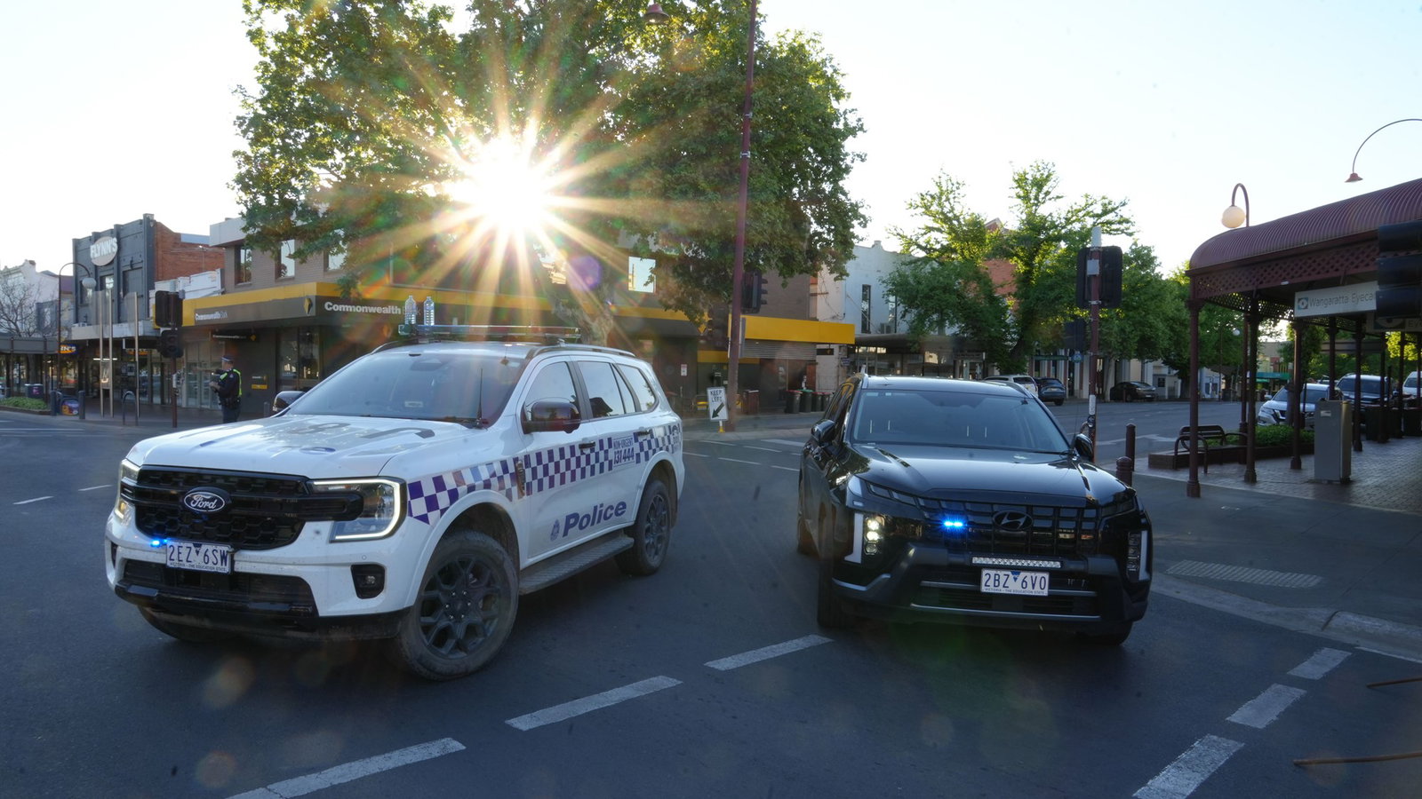 Independent Federal MP Helen Haines in Critical Condition Following Suspected Vehicle Attack in Wangaratta