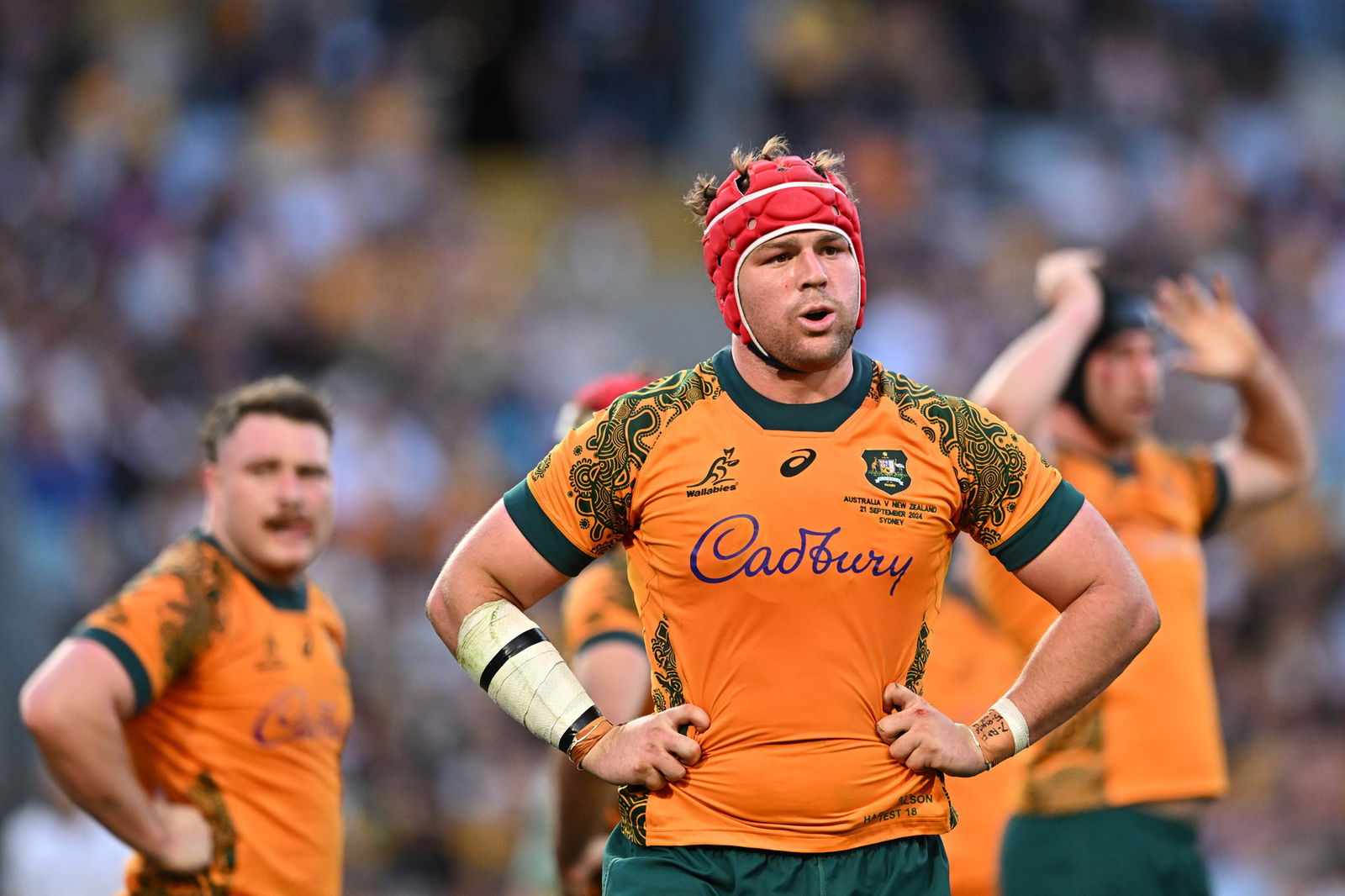 Harry Wilson during the Bledisloe Cup Test.