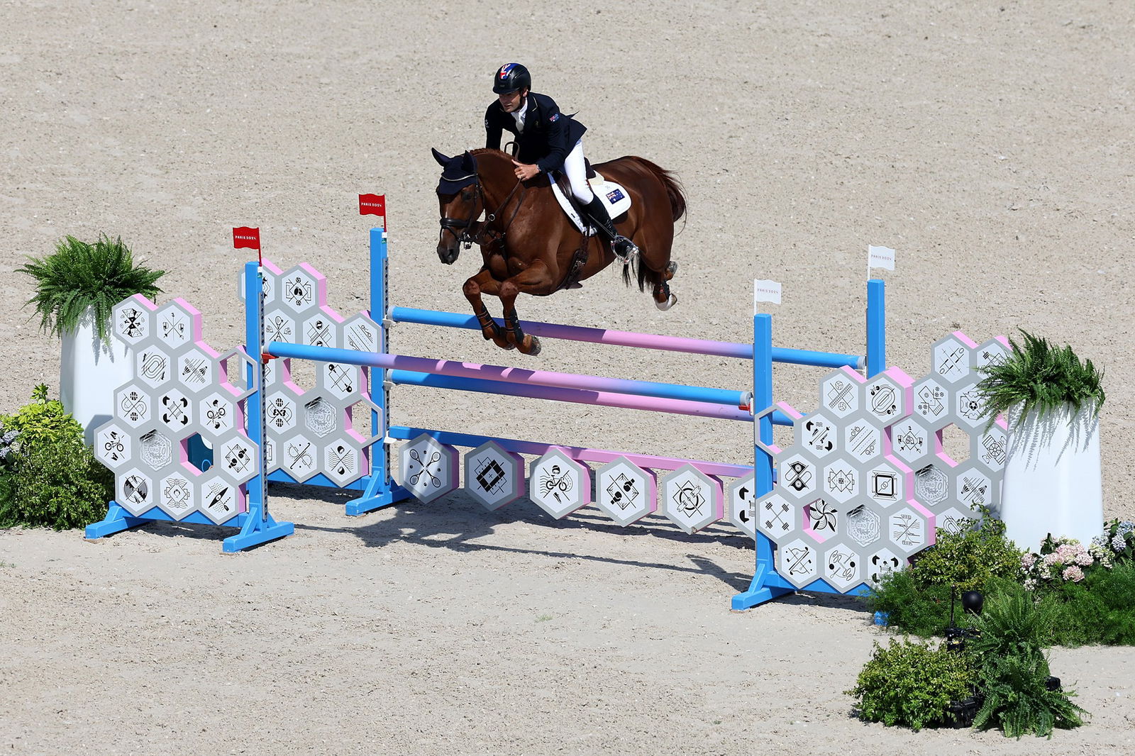 A horse rider leaps over a barricade during an Olympic equestrian event