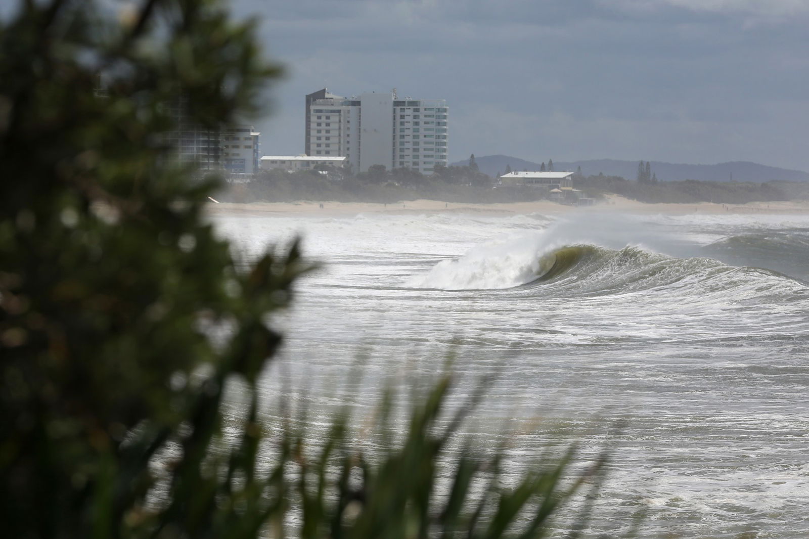 Large swells have been seen on the Sunshine Coast since last weekend