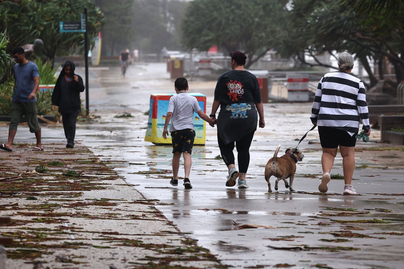 Residents venture outside their homes to assess the impact of Cyclone Alfred on the Gold Coast.