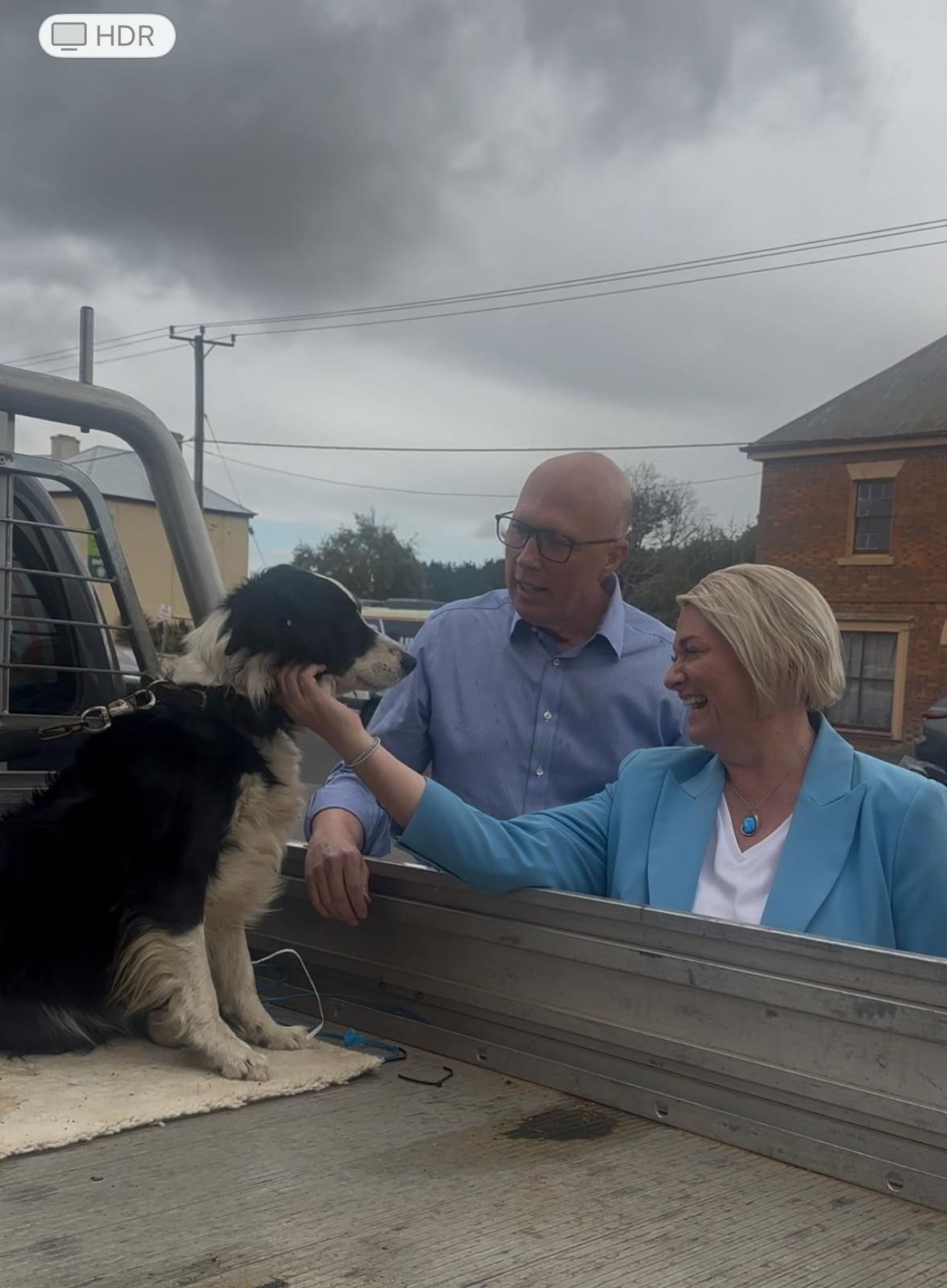 Two people stand beside a ute tray, petting a black and white border collie sitting near the cab