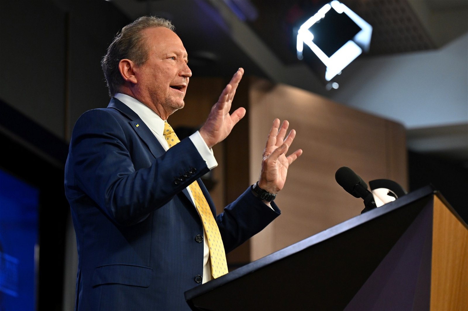 Andrew Forrest argued nuclear energy has become a lobbying tool for the fossil fuel sector
