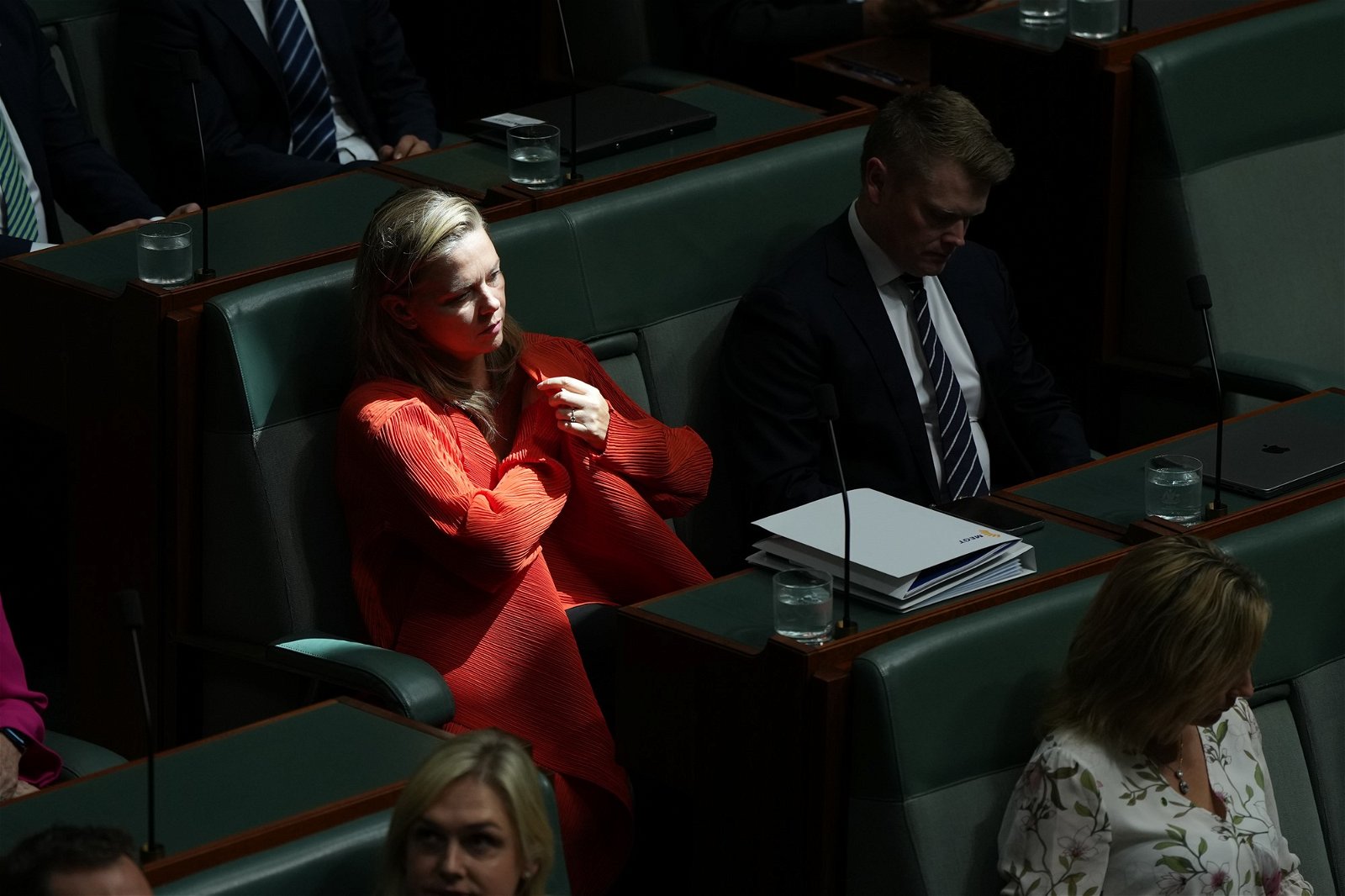 woman in red sits in shadow in parliament
