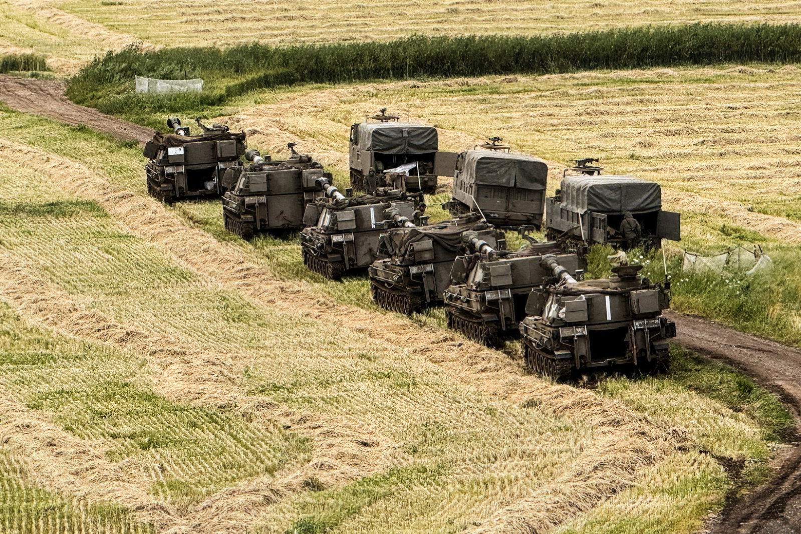 Nine army vehicles line up in a paddock.
