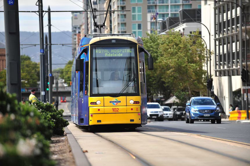 A tram in Adelaide's CBD.