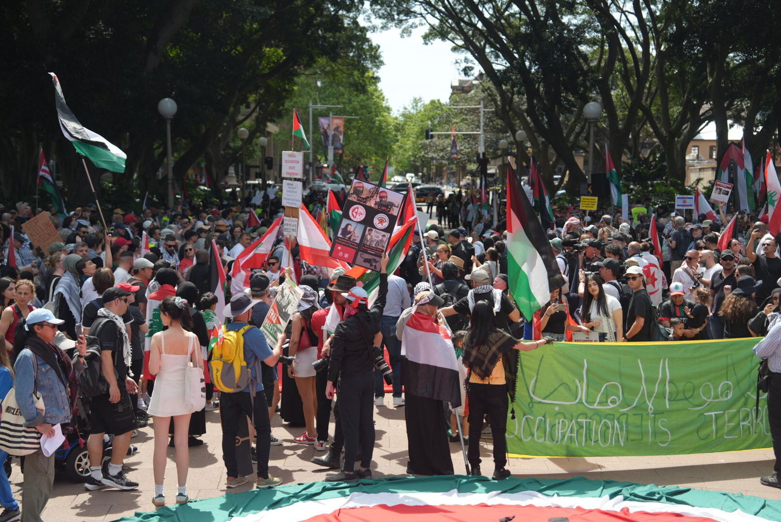 A protest in a Sydney park