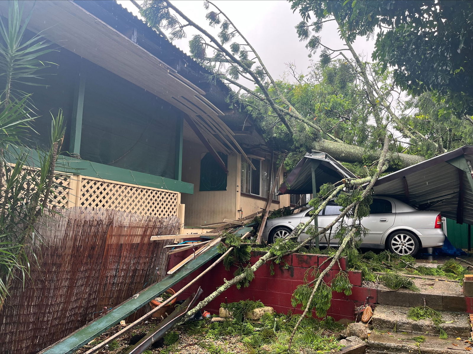 A pine tree on top of a carport. a silver car trapped inside. 