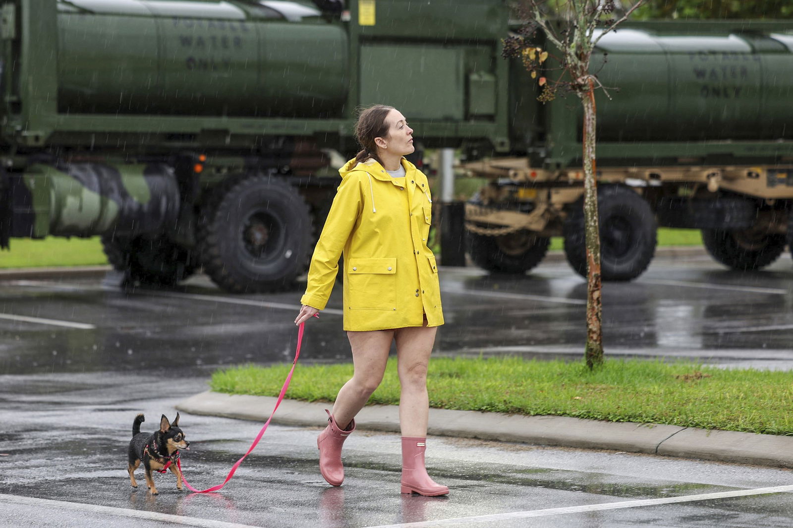 A woman in a yellow raincoat walks a small dog