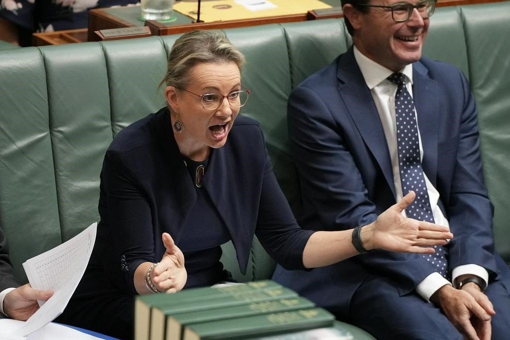 Sussan Ley speaks in the House of Representatives and gestures with her arms.