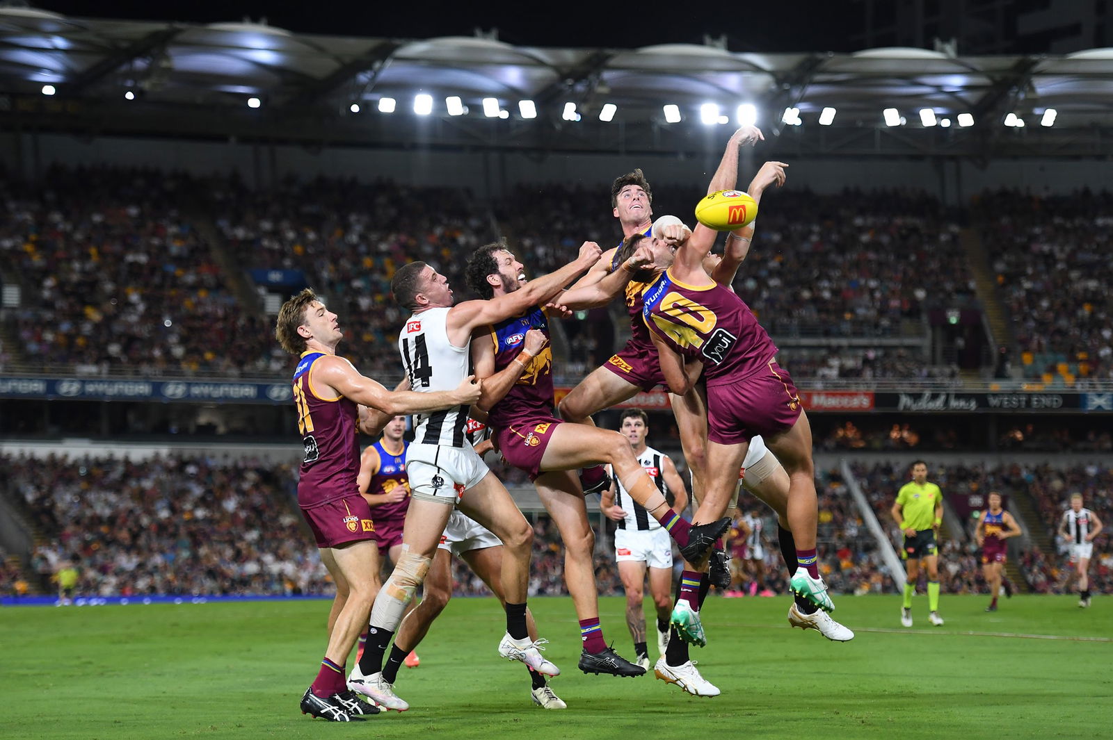 Pack of Magpies and Lions contest the ball