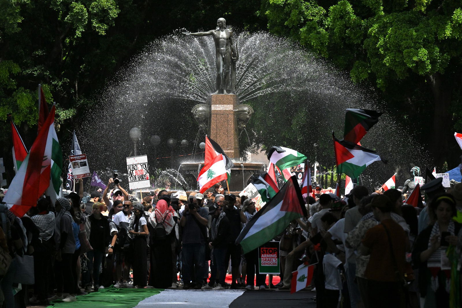 A protest in a Sydney park