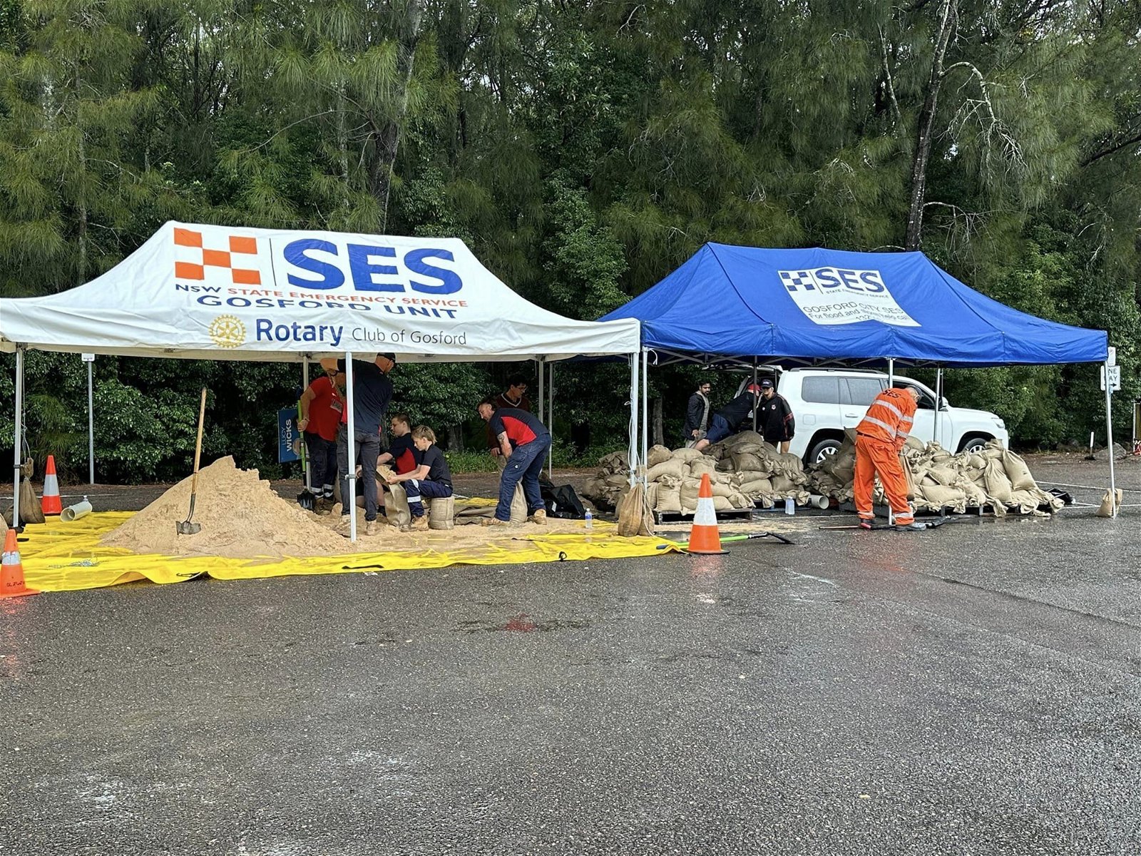 SES NSW volunteers fill sandbags in Gosford while seated under tents.