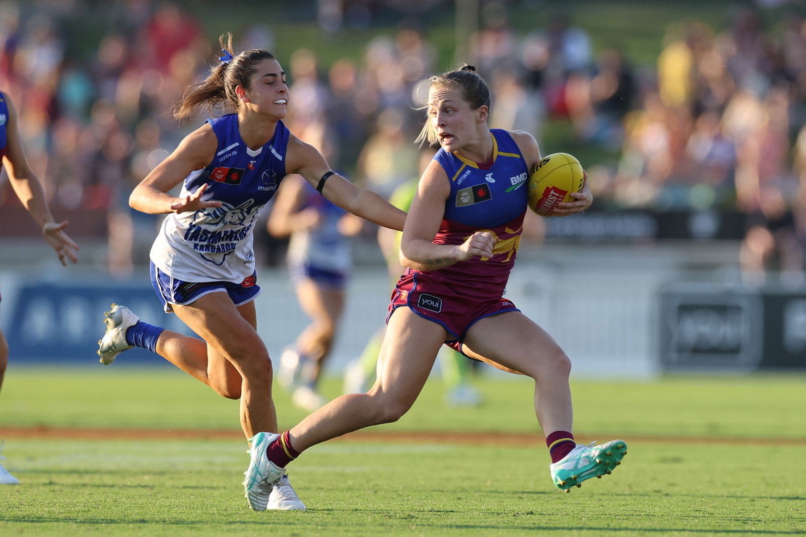 Roos vs Lions in round one