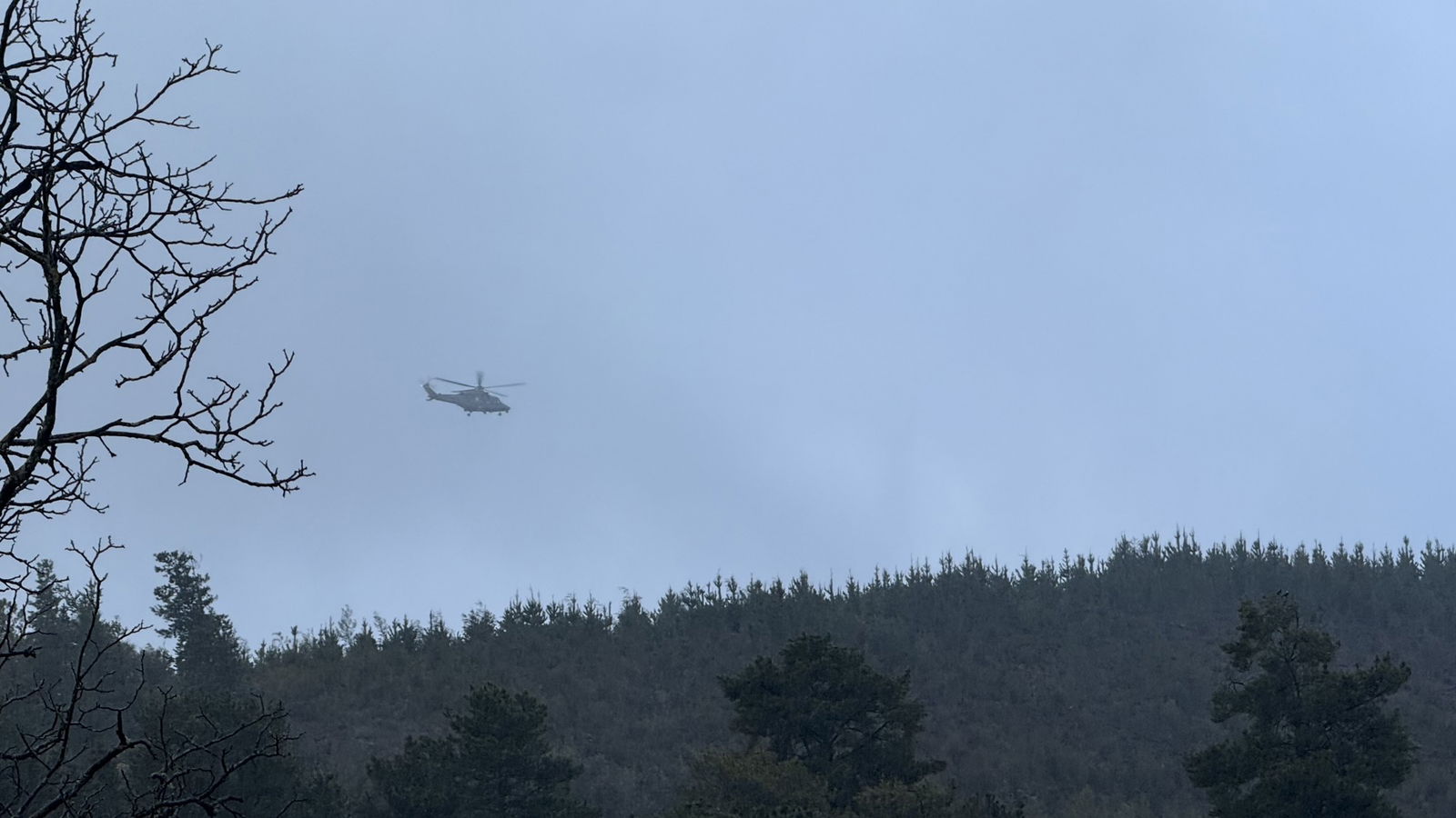 A helicopter flying over alpine forest .