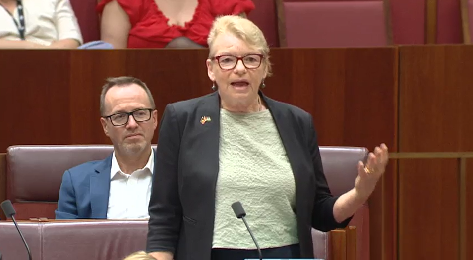A middle-aged woman with short hair and glasses gestures as she speaks in the Senate.
