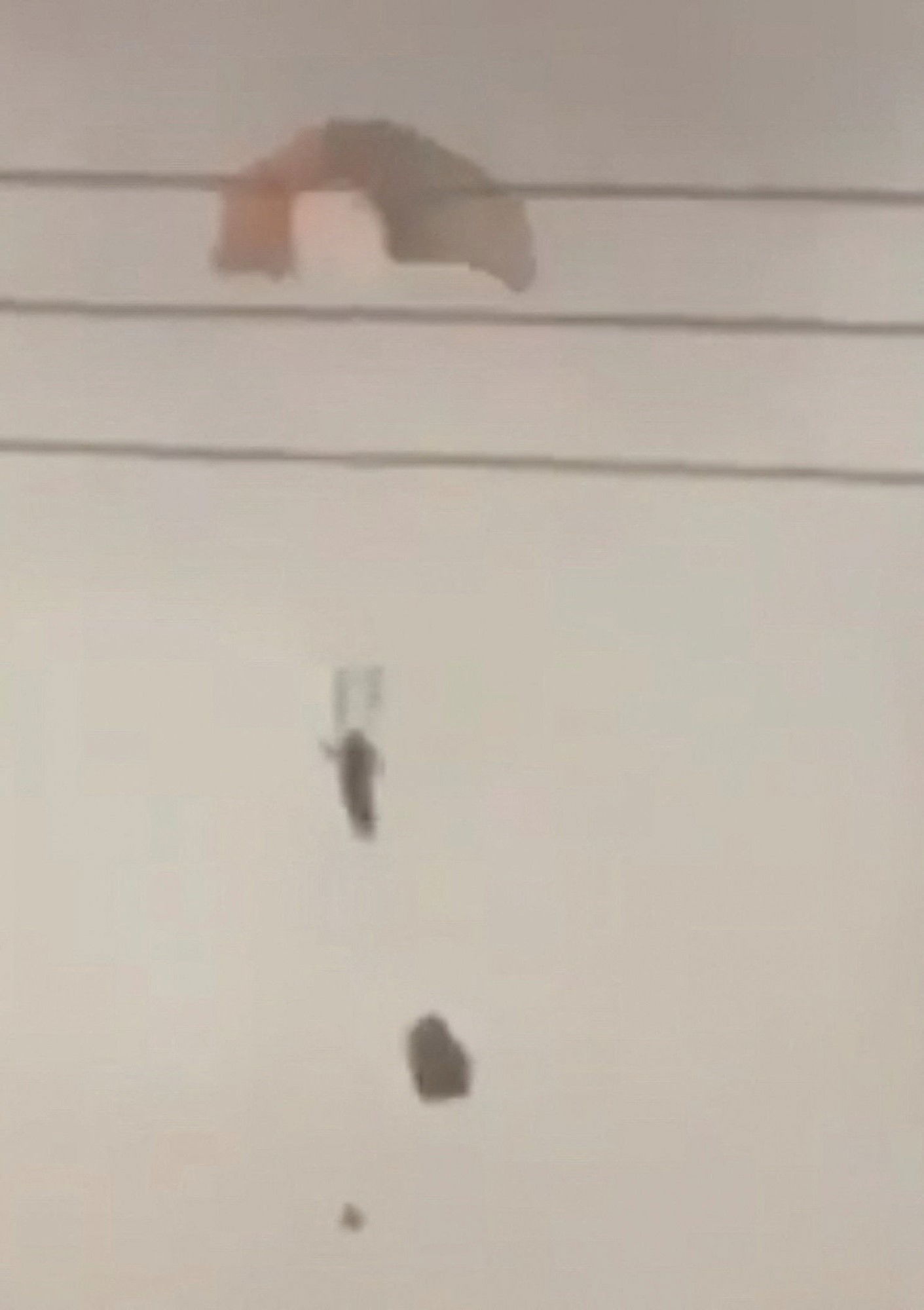 A person parachuting in the sky with power lines in view