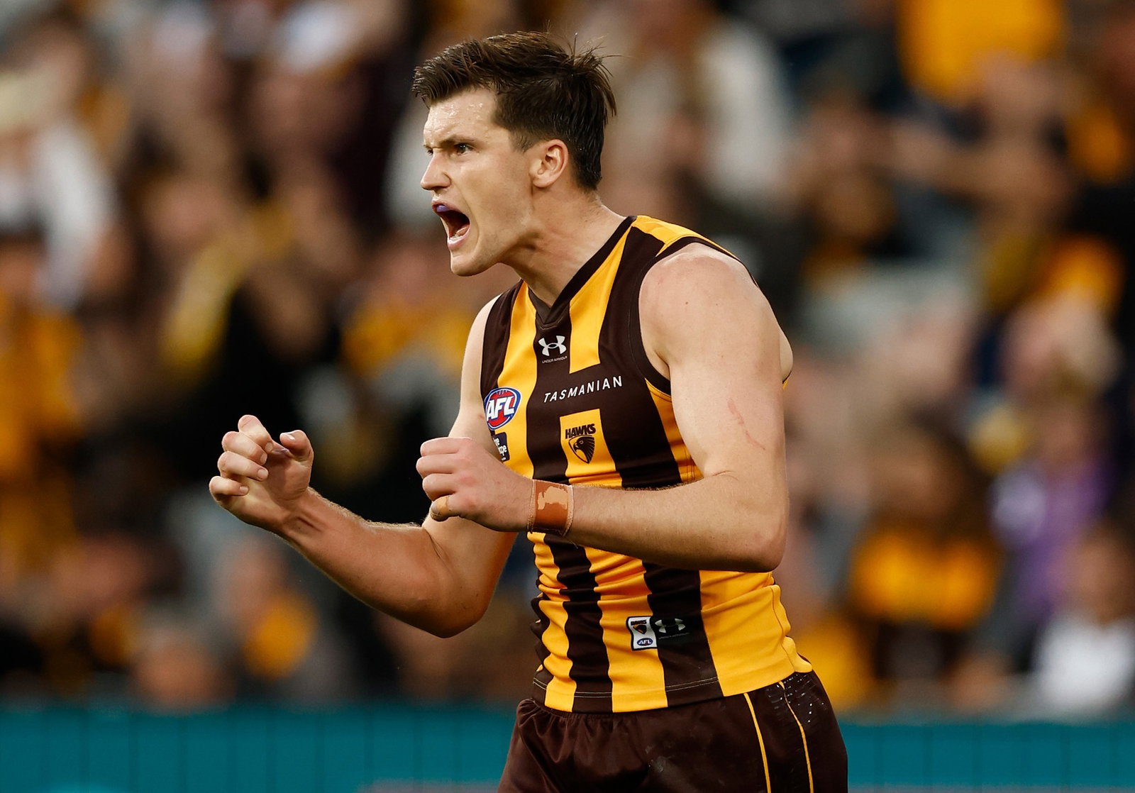 Mitch Lewis kicked a late goal to draw the Hawks level before Jack Gunston's behind sealed the deal.