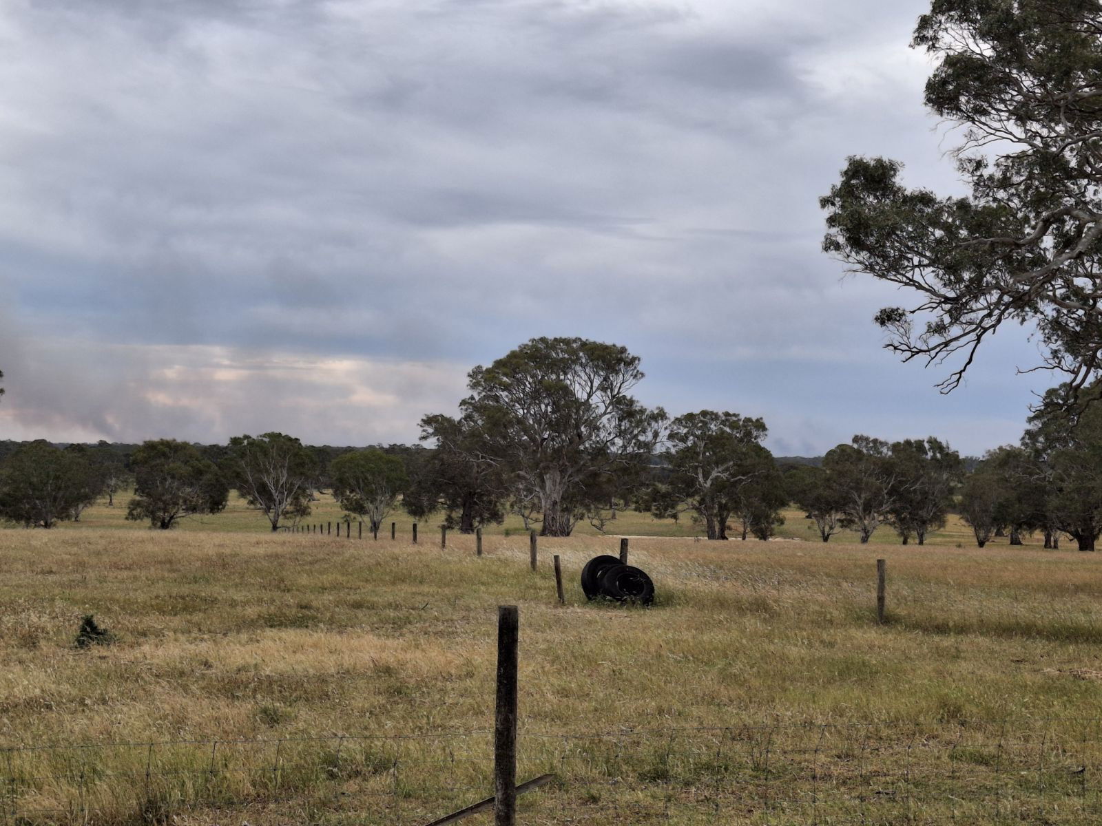 A field