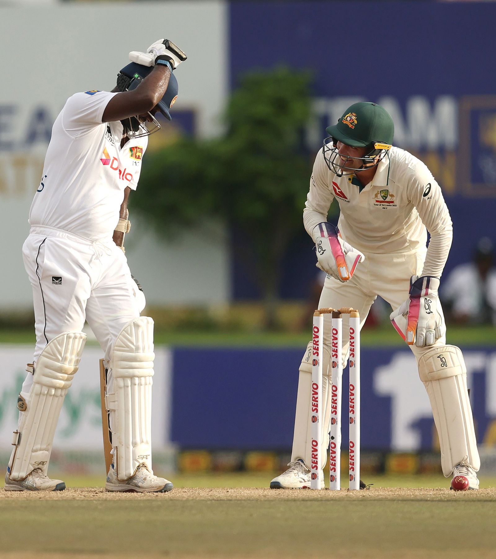 Alex Carey talks to Angelo Mathews while pointing at the stumps.