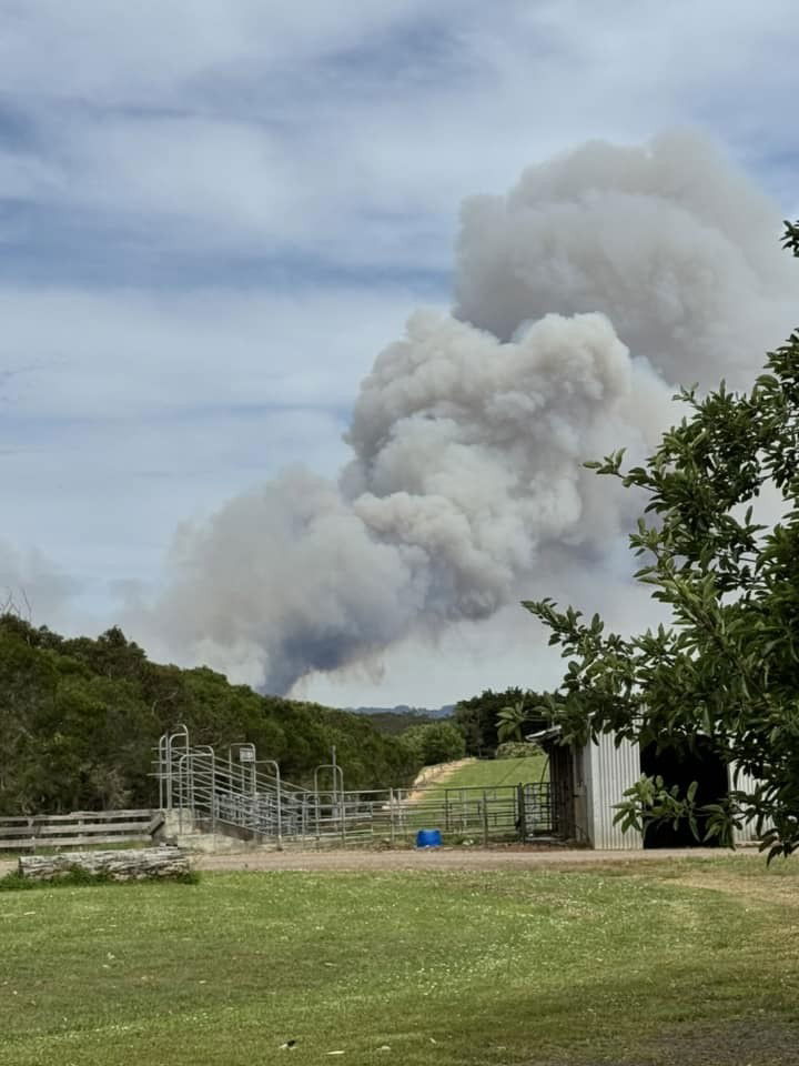 A paddock with a treeline to the left, smoke rising from behind