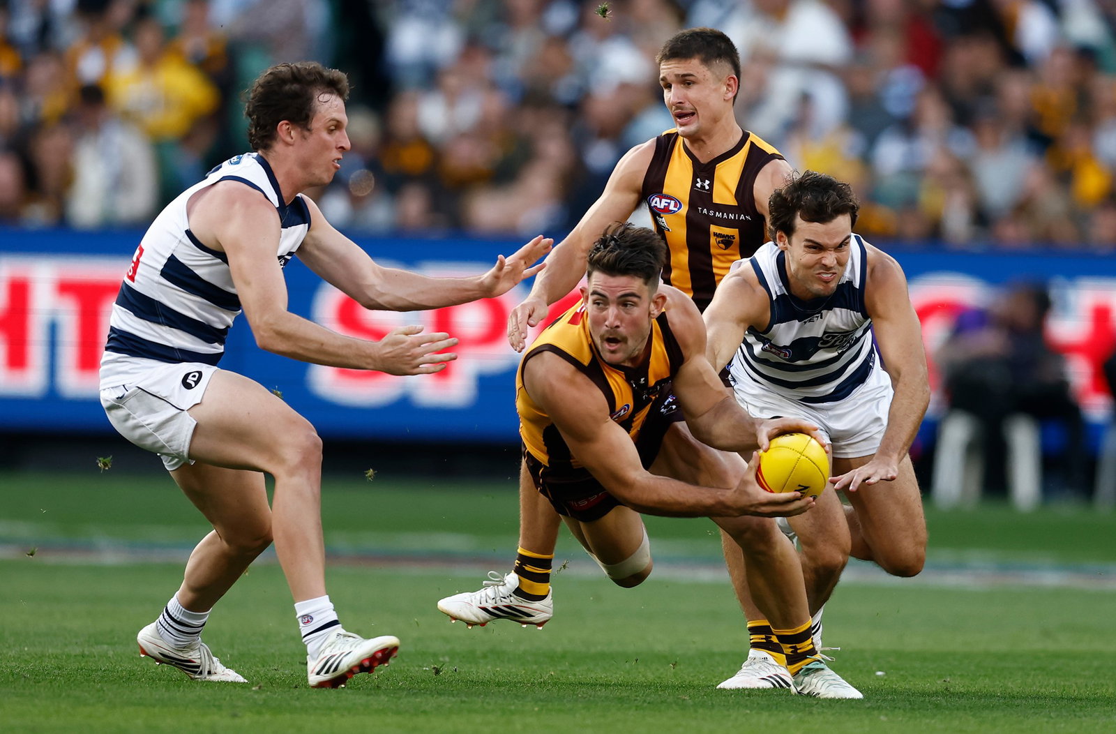 Jai Newcombe picked up 25 disposals in Hawthorn's one-point win over Geelong.
