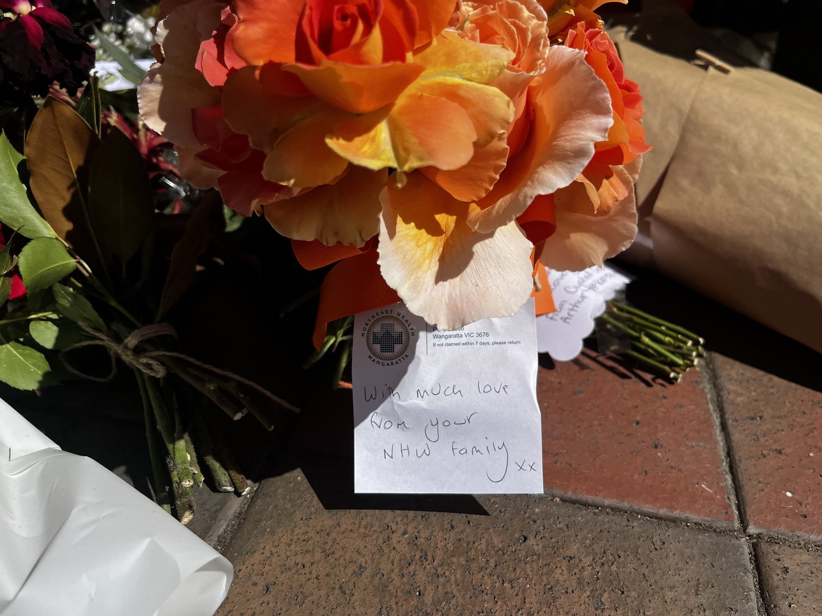 MP Helen Haines remains in critical condition in Melbourne — as it ...