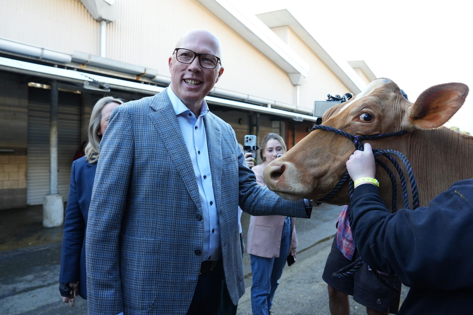 Peter Dutton smiles as he pats a cow.