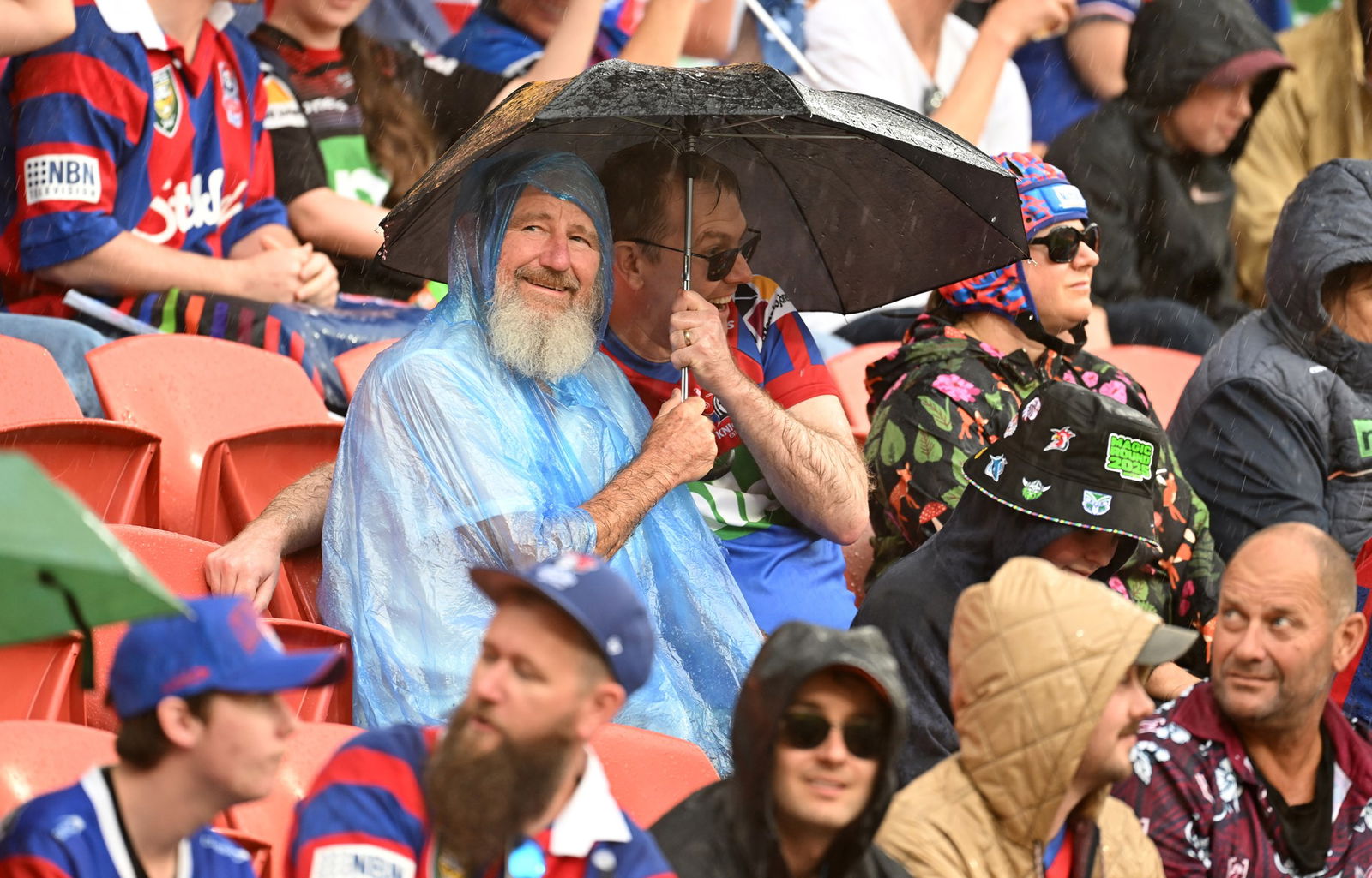NRL fans sit under an umbrella at a Knights Rabbitohs game.