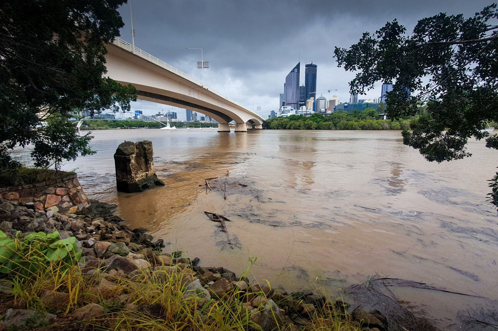 A view of muddy water on the banks of the Brisbane River.